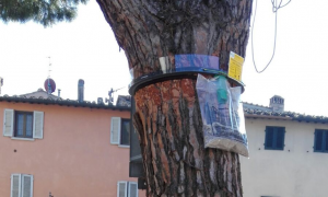 Difesa delle piante