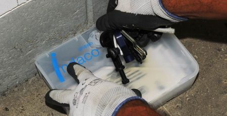 derattizzazione topi e ratti