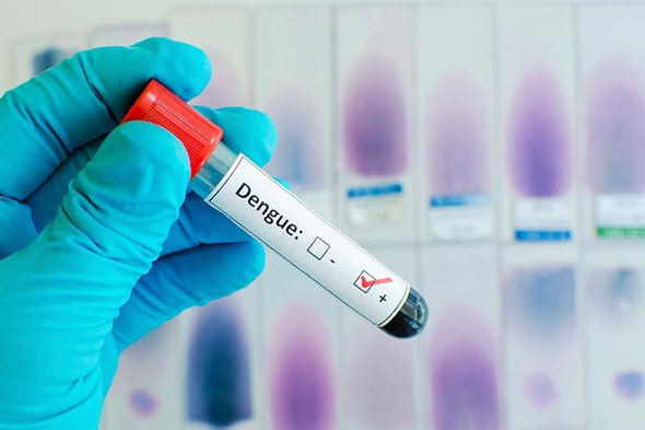 L'importanza sanitaria delle zanzare