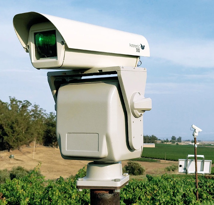 dissuasore laser Infestazioni da piccioni