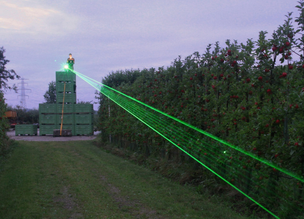 laser piccioni Infestazioni da piccioni