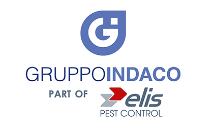 Gruppo Indaco